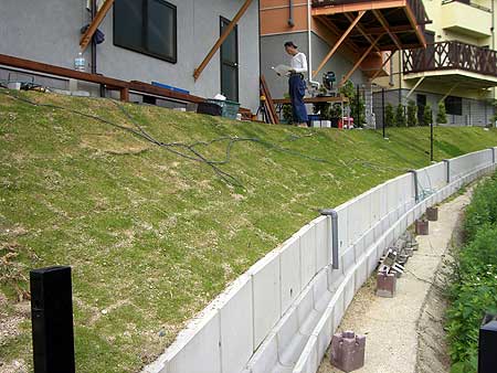 �E�b�h�f�b�L�{�H��