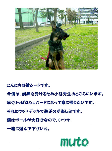 m_010-02.jpg(75396 byte)
