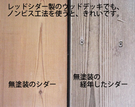 no-bisu005.jpg(60320 byte)
