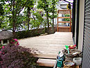 110.jpg(8783 byte)