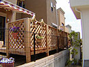 118.jpg(7984 byte)