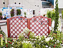 w_001.jpg(10511 byte)