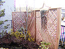 w_006.jpg(8409 byte)